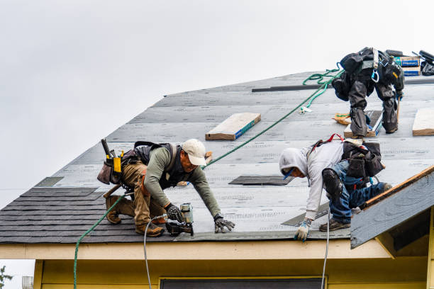 Professional Gutter Installation technician working in Frackville, PA